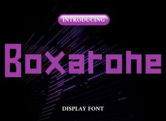 Boxarone Cyberpunk Display Font preview image 1