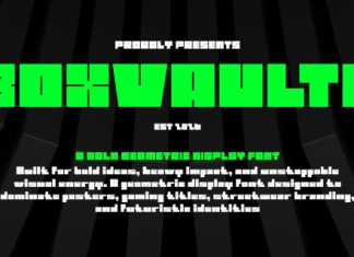 Boxvaulth Bold Geometric Font preview image 1