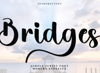 Bridges Script Font preview image 1