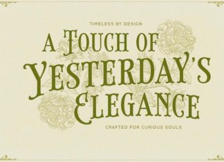 Brindley Houston Font preview image 2