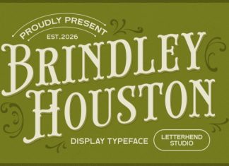 Brindley Houston Font preview image 1