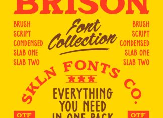 SFC Brison Font preview image 1