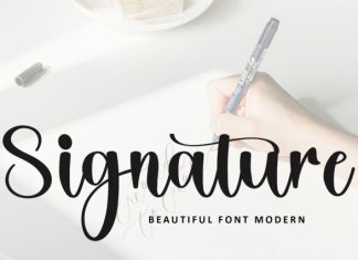 Brithany Calligraphy Font preview image 2