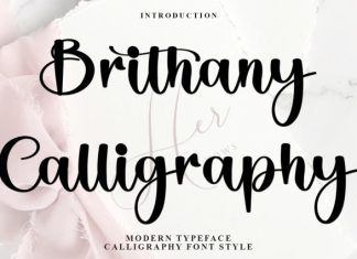 Brithany Calligraphy Font preview image 1