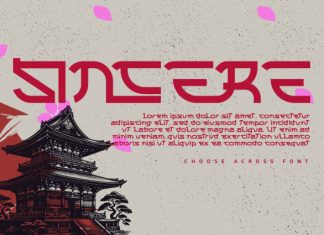 CHOOSE ACROSS – GEOMETRIC FONT preview image 2