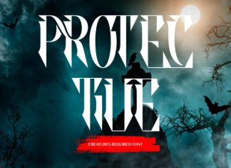 CREATURES REQUIRED – MODERN FONT preview image 3