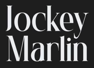 CS Abner – Elegant Serif Font preview image 3