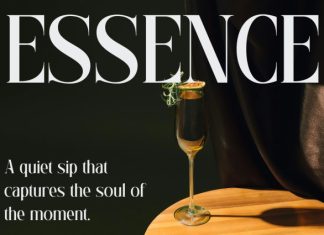 CS Abner – Elegant Serif Font preview image 2