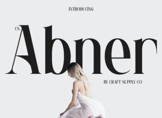 CS Abner – Elegant Serif Font preview image 1