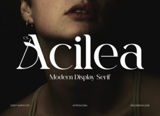 CS Acilea – Modern Serif Font preview image 1