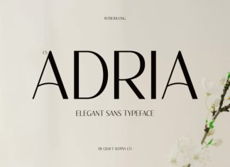CS Adria – Elegant Sans Serif Font preview image 1