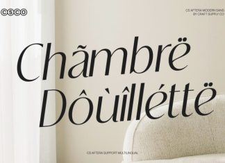 CS Aftera – Modern Sans Serif Font preview image 3