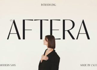 CS Aftera – Modern Sans Serif Font preview image 1