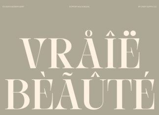 CS Agate – Modern Serif Font preview image 2
