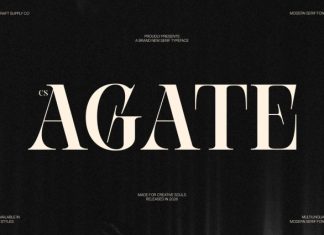 CS Agate – Modern Serif Font preview image 1