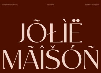 CS Aikens – Elegant Sans Serif Font preview image 2
