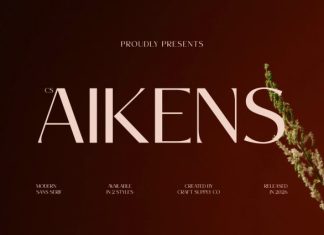 CS Aikens – Elegant Sans Serif Font preview image 1