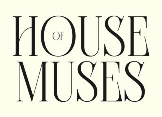 CS Alani – Modern Serif Font preview image 3