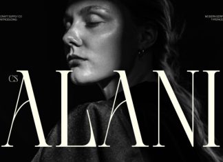 CS Alani – Modern Serif Font preview image 1