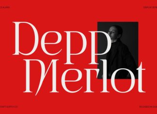 CS Alarix – Serif Display Font preview image 2