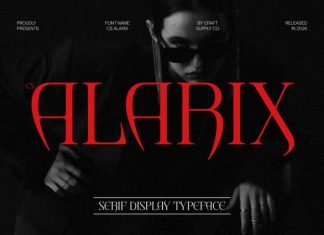 CS Alarix – Serif Display Font preview image 1