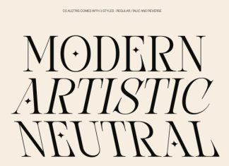 CS Aletris – Modern Serif Font preview image 3