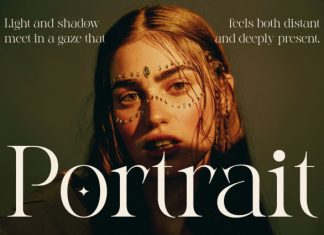 CS Aletris – Modern Serif Font preview image 2