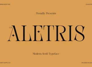 CS Aletris – Modern Serif Font preview image 1