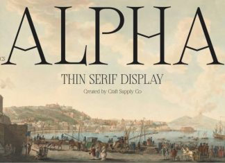 CS Alpha – Classic Serif Font preview image 1