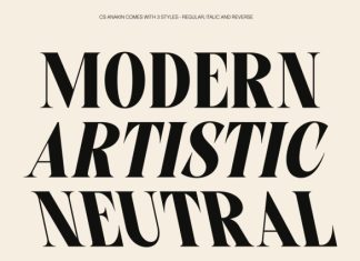 CS Anakin – Modern Serif Font preview image 2