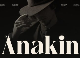 CS Anakin – Modern Serif Font preview image 1