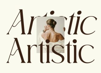 CS Ankia – Elegant Serif Font preview image 3
