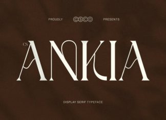 CS Ankia – Elegant Serif Font preview image 1
