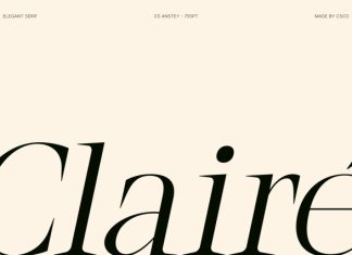 CS Anstey – Elegant Serif Font preview image 2