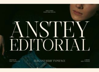 CS Anstey – Elegant Serif Font preview image 1