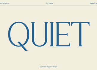 CS Arable – Elegant Serif Font preview image 3