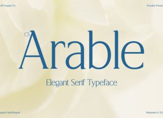 CS Arable – Elegant Serif Font preview image 1