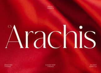 CS Arachis – Elegant Serif Font preview image 1