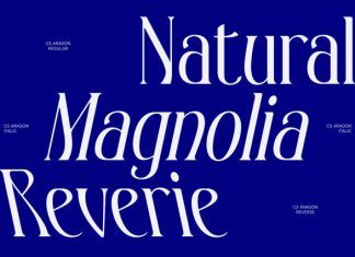 CS Aragon – Modern Serif Font preview image 2