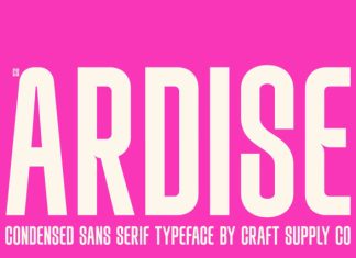 CS Ardise – Condensed Font preview image 1