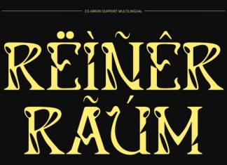 CS Arkon – Experimental Display Font preview image 2