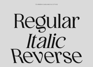 CS Armida – Elegant Serif Font preview image 2