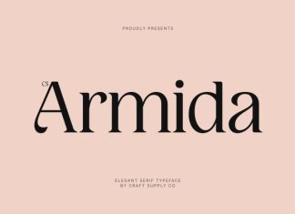 CS Armida – Elegant Serif Font preview image 1