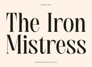 CS Aruba – Modern Serif Font preview image 2