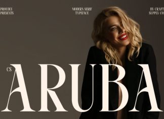 CS Aruba – Modern Serif Font preview image 1