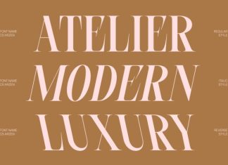 CS Arzen – Modern Serif Font preview image 2