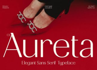 CS Aureta – Elegant Sans Serif Font preview image 1