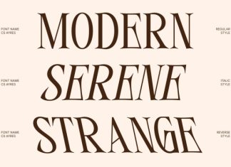 CS Ayres – Contemporary Serif Font preview image 3