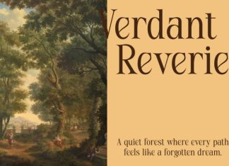 CS Ayres – Contemporary Serif Font preview image 2