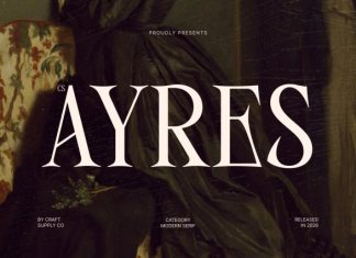 CS Ayres – Contemporary Serif Font preview image 1